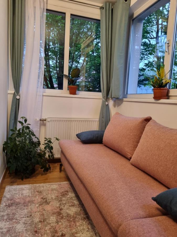 شقة Cozy Nest سالزبورغ المظهر الخارجي الصورة